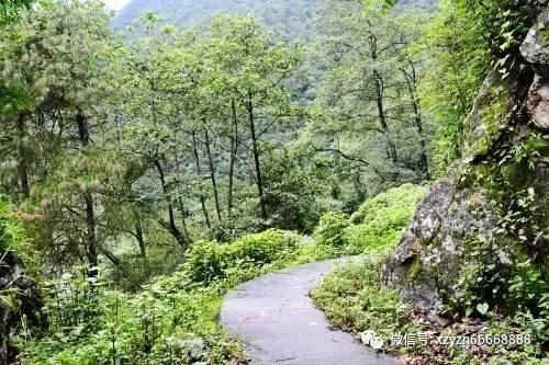重庆：高山“冷资源”助推冰雪经济发展