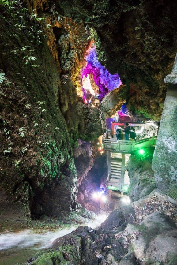 虫虫助手下载