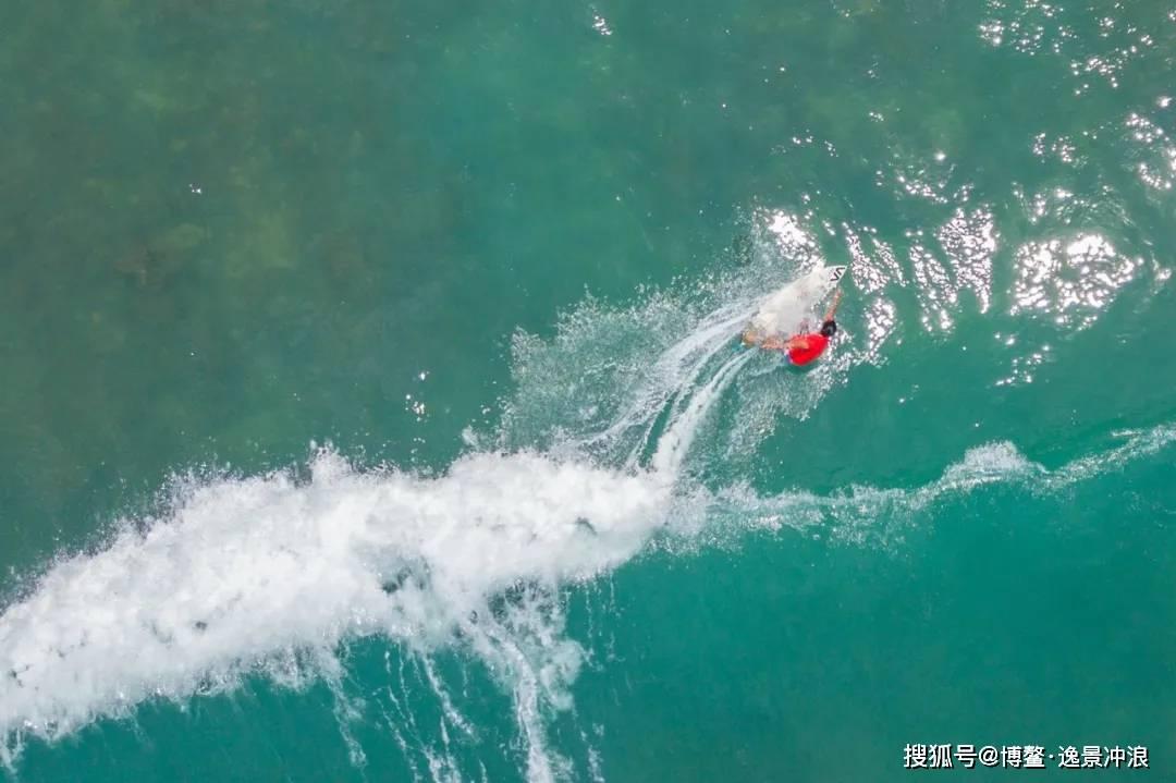 虫虫助手下载